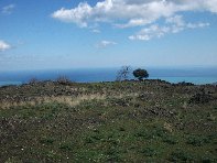 iara Scorciavacca-20110306 134